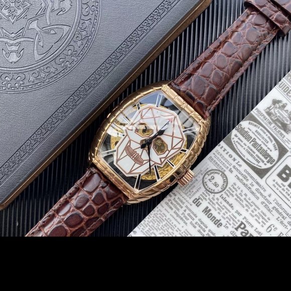 Automatic mechanical watch